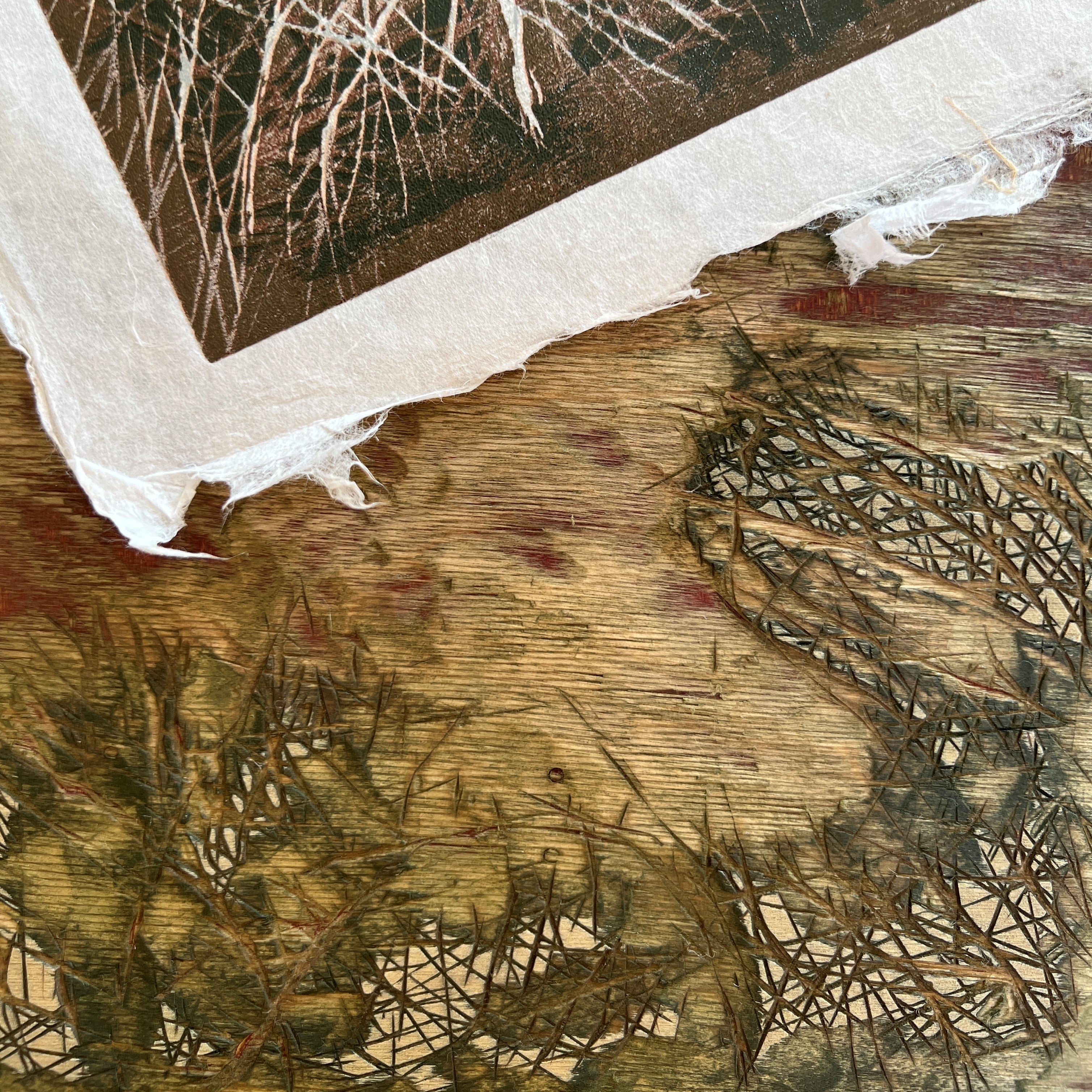 Art on Paper XIII