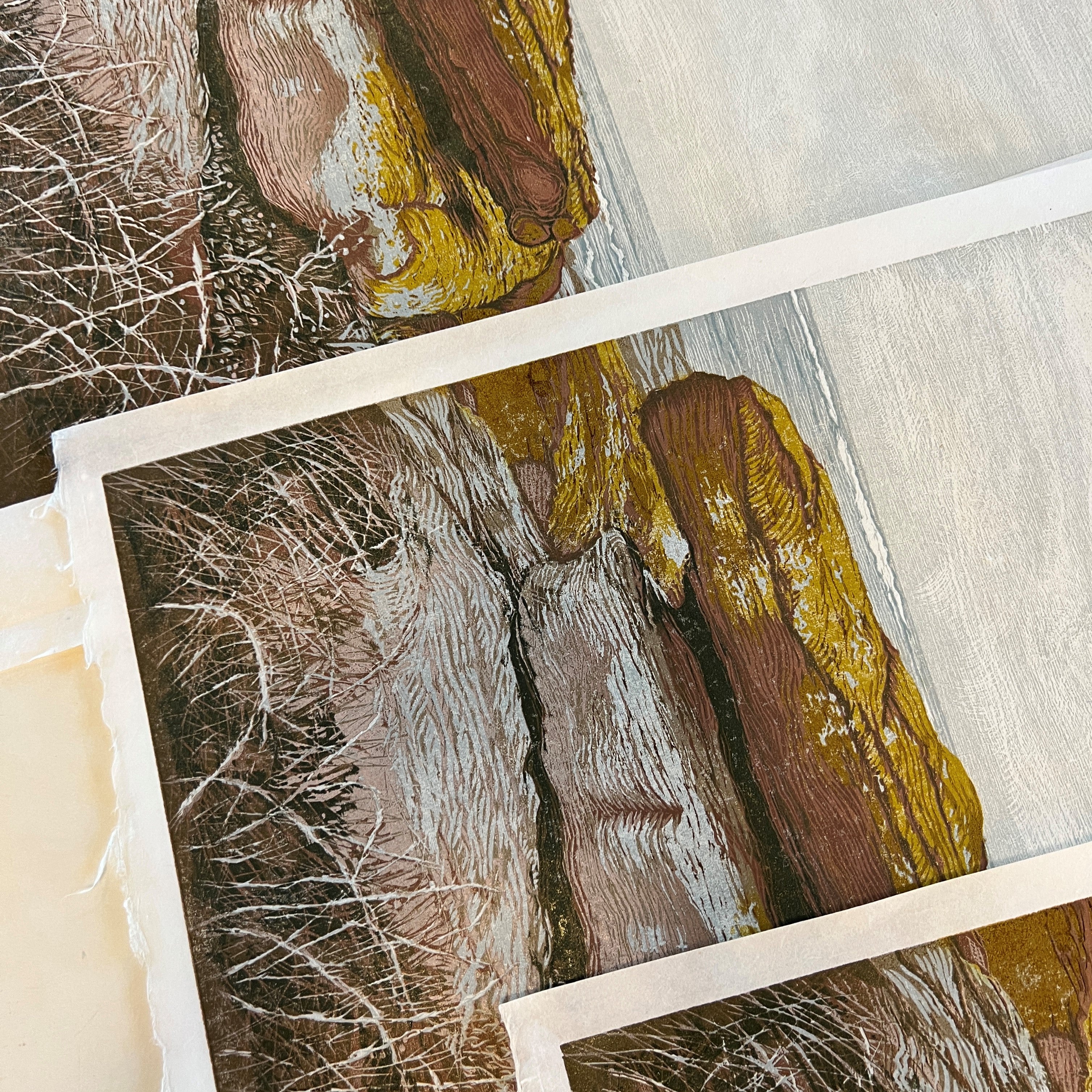 A Sense of Place with my Yellow Rocks Series