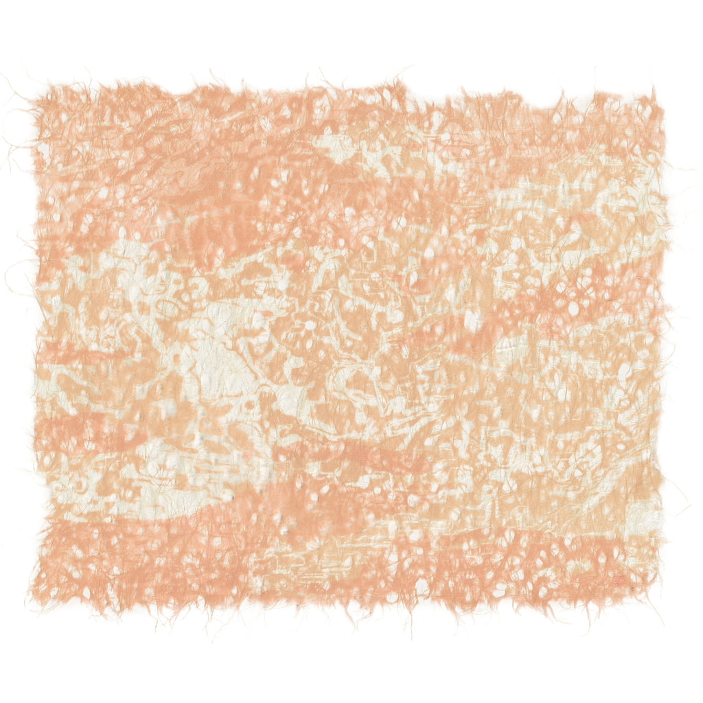 Forgotten iteration Print 1
