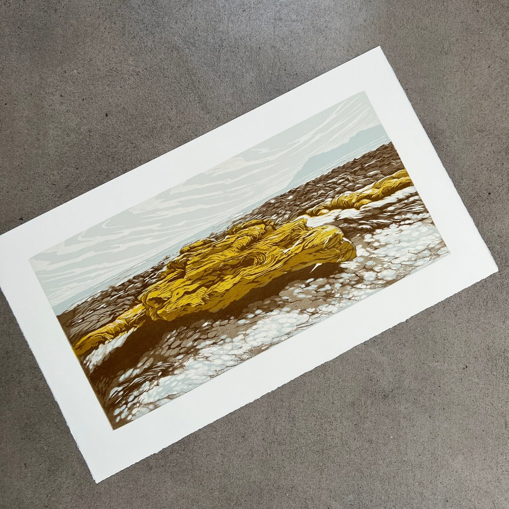 Yellow rocks at the end of the longest winter