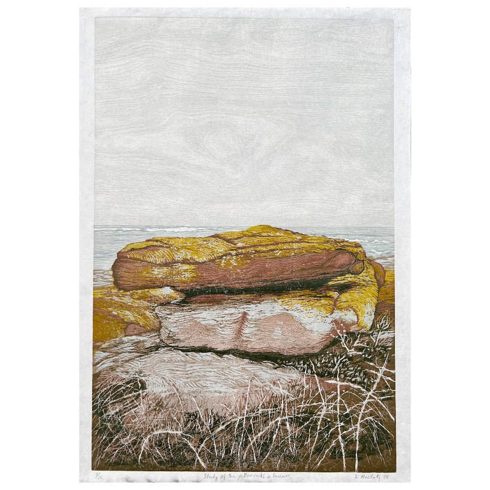 Study of the Yellow Rocks in Summer