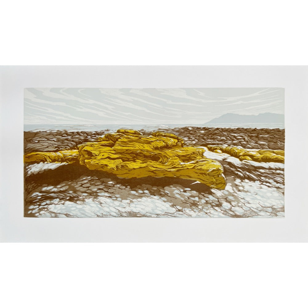 Yellow rocks at the end of the longest winter