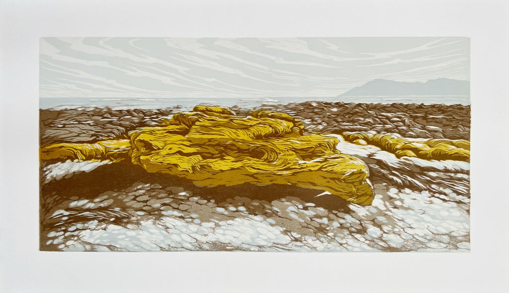 Yellow rocks at the end of the longest winter