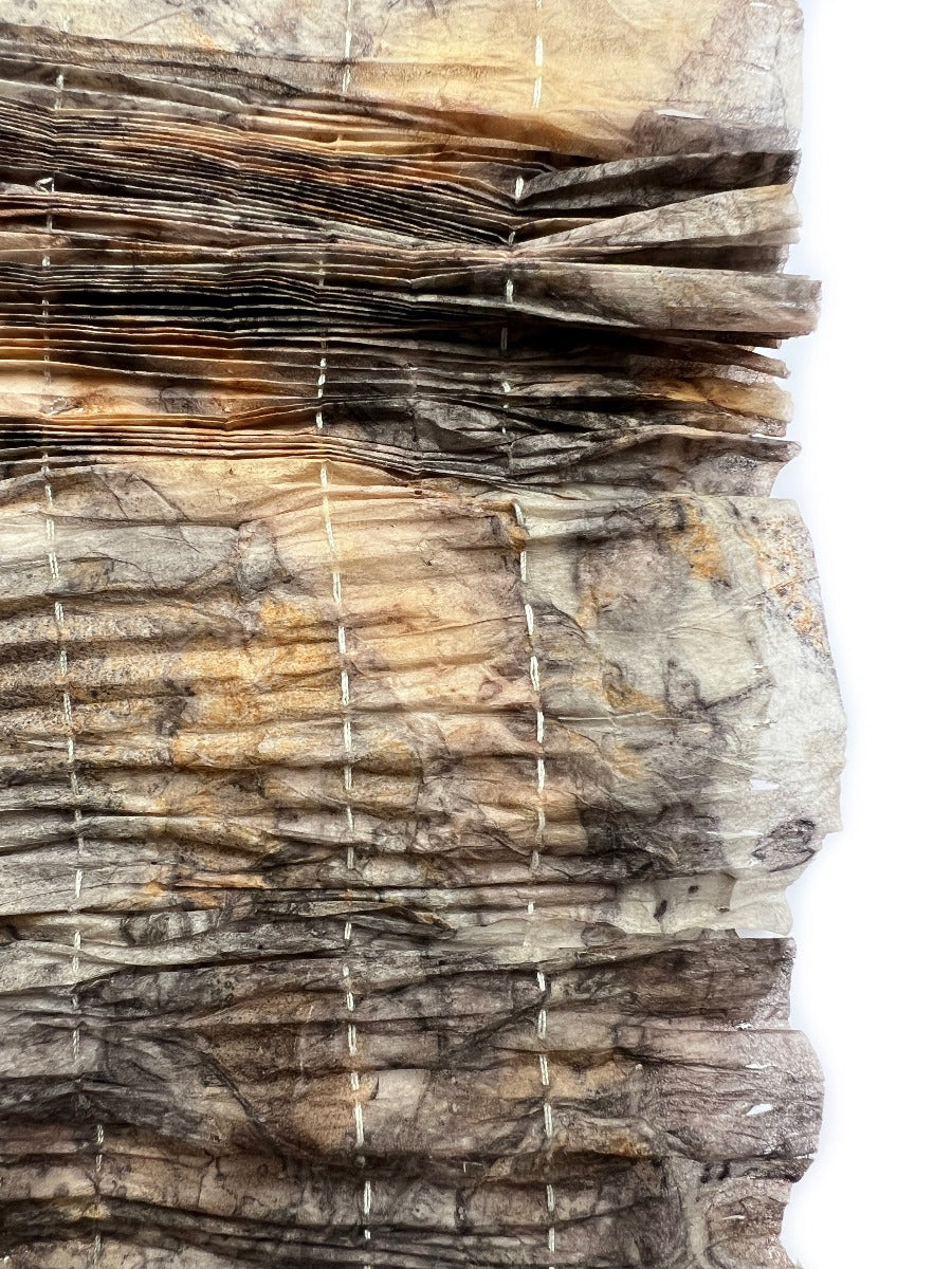 Eucalyptus marked stays