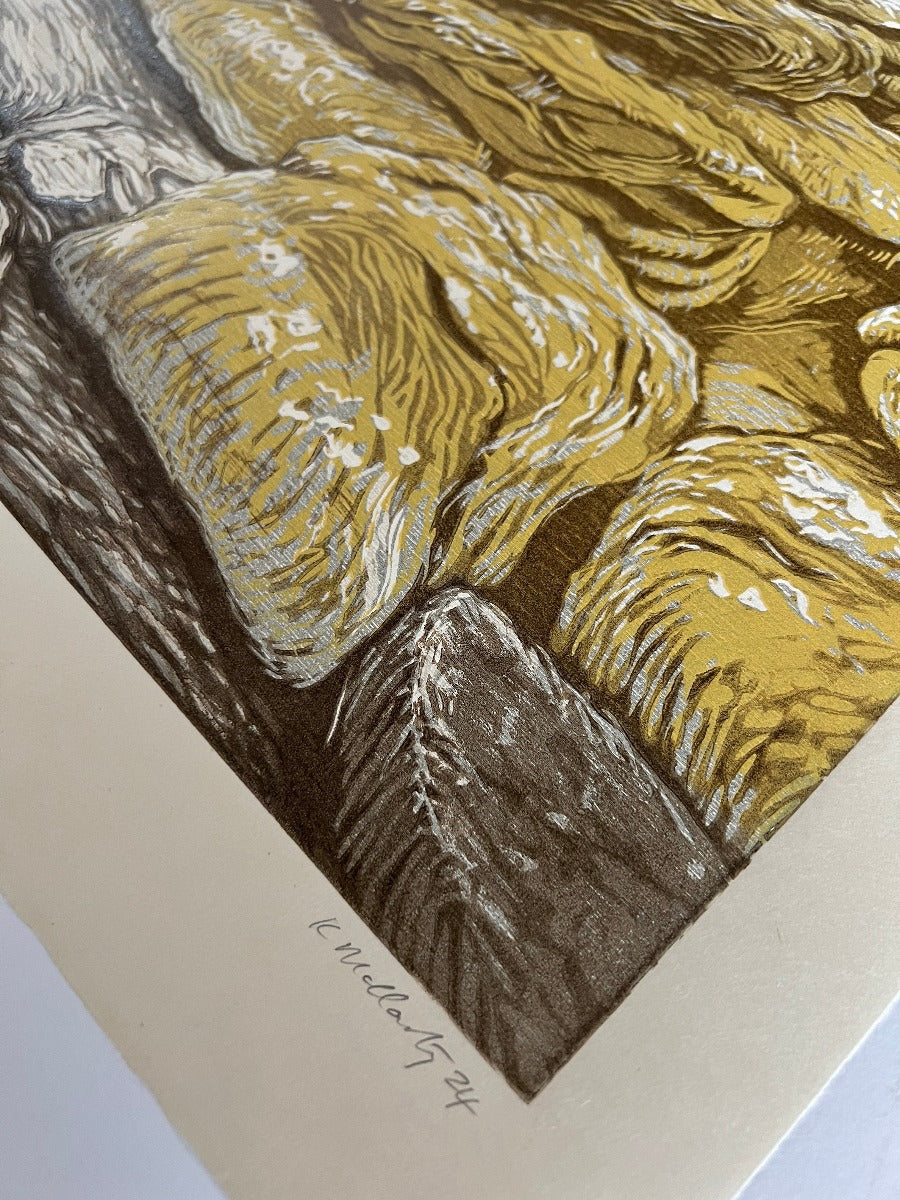 Yellow rocks on a grey morning