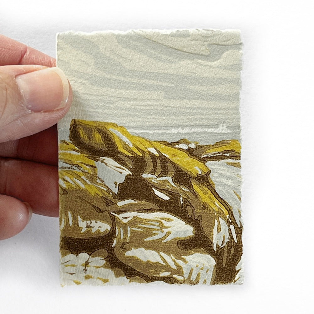 Yellow rock in flight