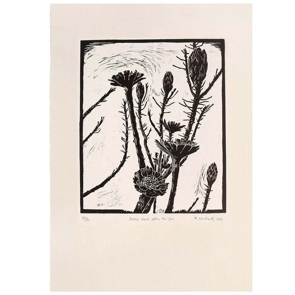 Protea Bush After The Fire (black)