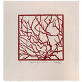 Negative Space Is Positive