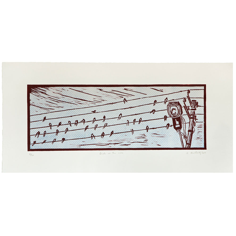 Birds On The Wire