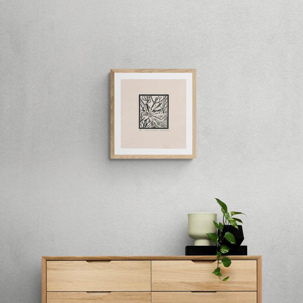 Burnt Leucadendron (black)