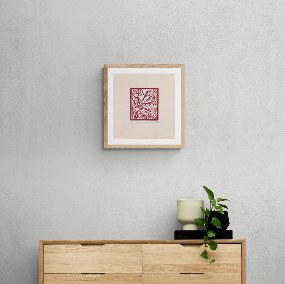 Burnt Leucadendron (red)