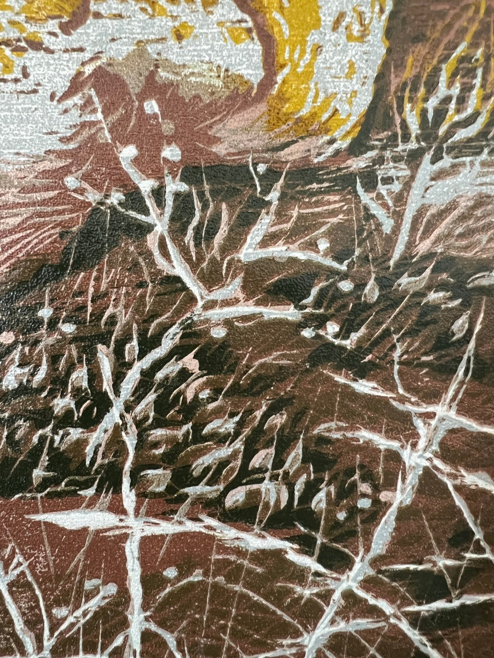 Study of the Yellow Rocks in Summer