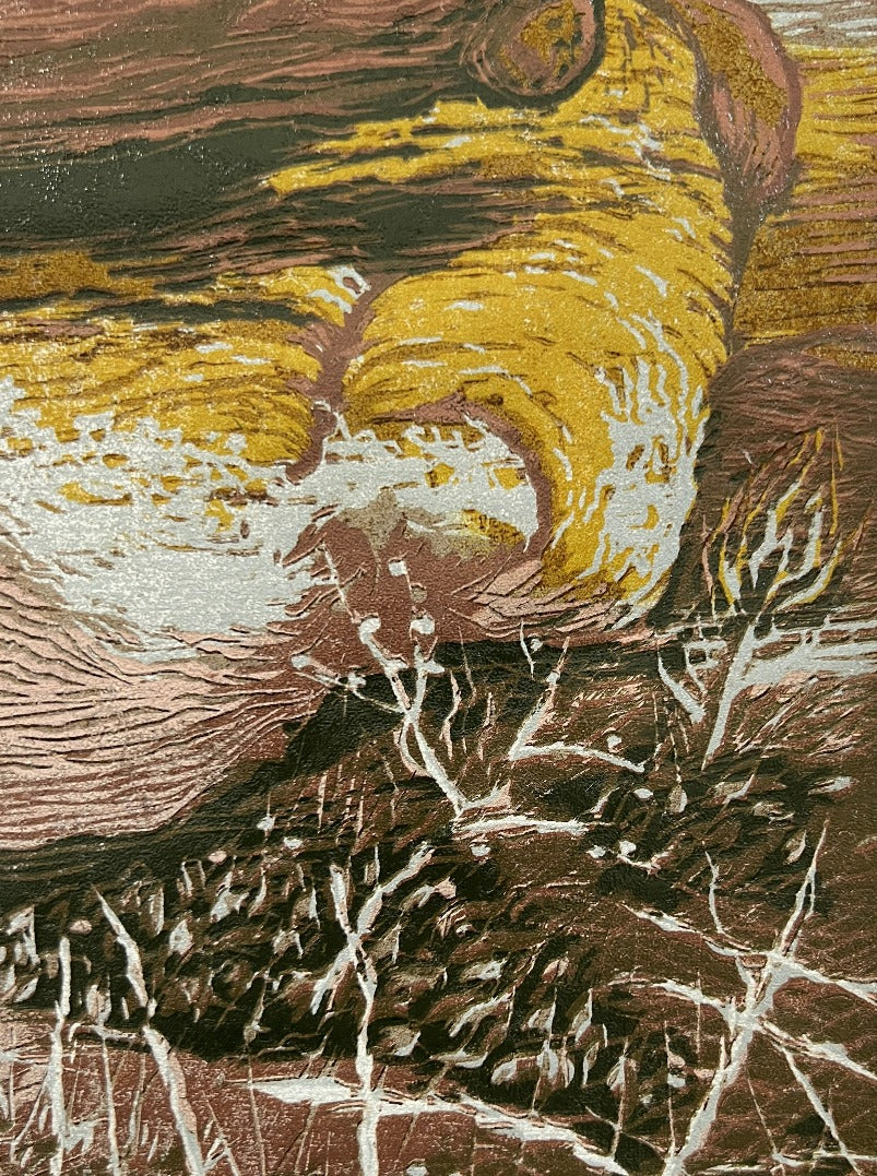 Study of the Yellow Rocks in Summer